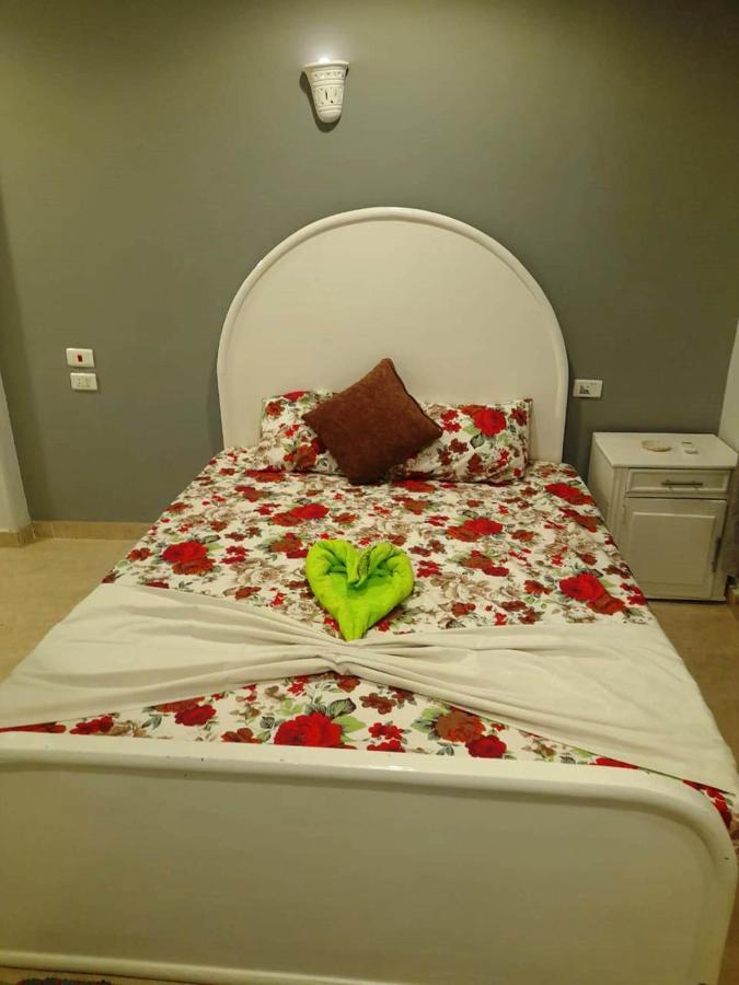 Nefertarie Guest House Louxor Extérieur photo